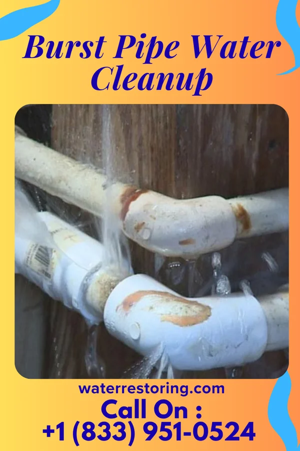 Burst Pipe Water Cleanup in Ellwood City, PA