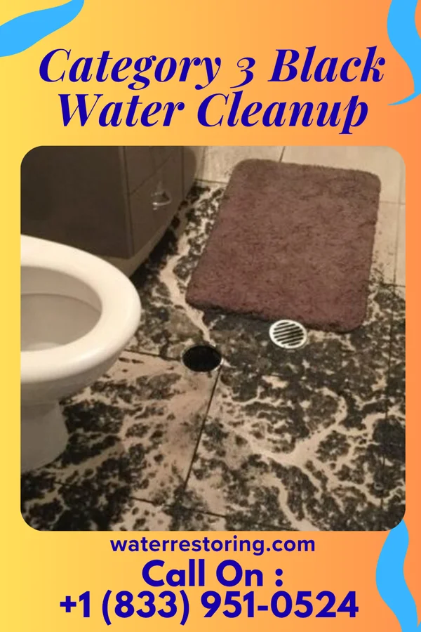 Category 3 Black Water Cleanup in Ellwood City, PA