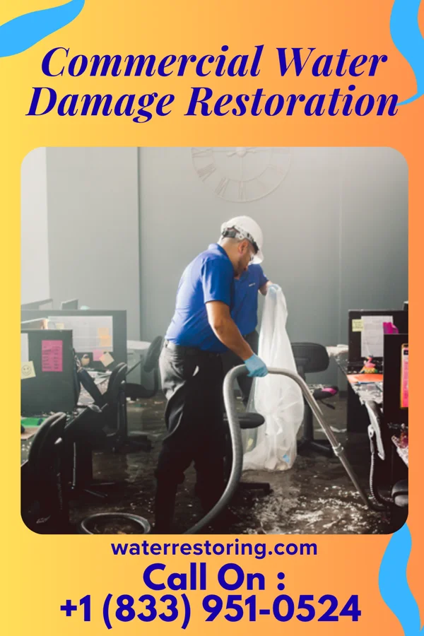 Commercial Water Damage Restoration in Ellwood City, PA