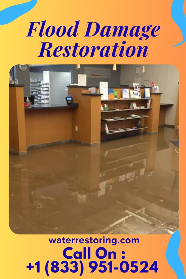 Flood Damage Restoration in Ellwood City, PA