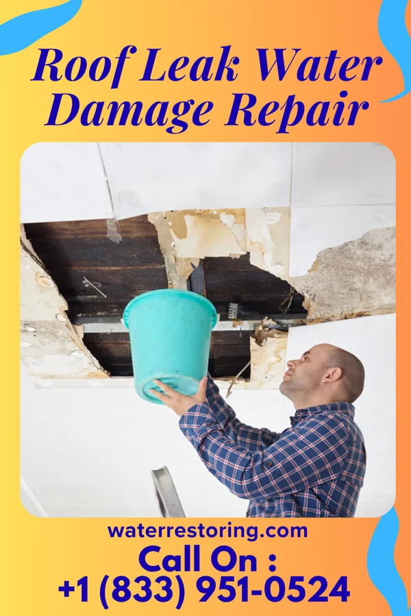Roof Leak Water Damage Repair in Ellwood City, PA