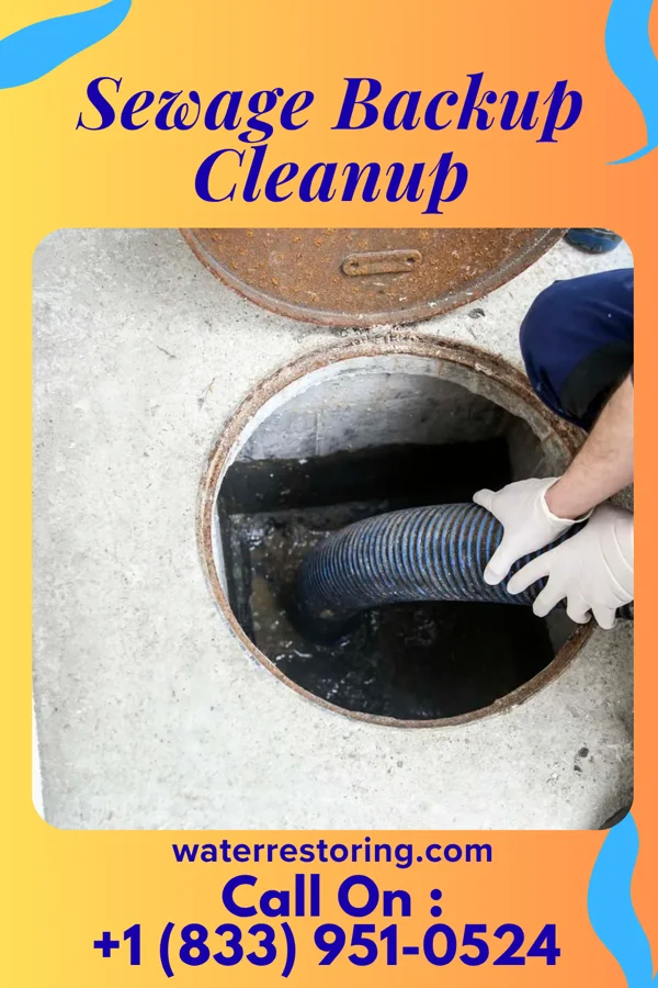 Sewage Backup Cleanup in Ellwood City, PA