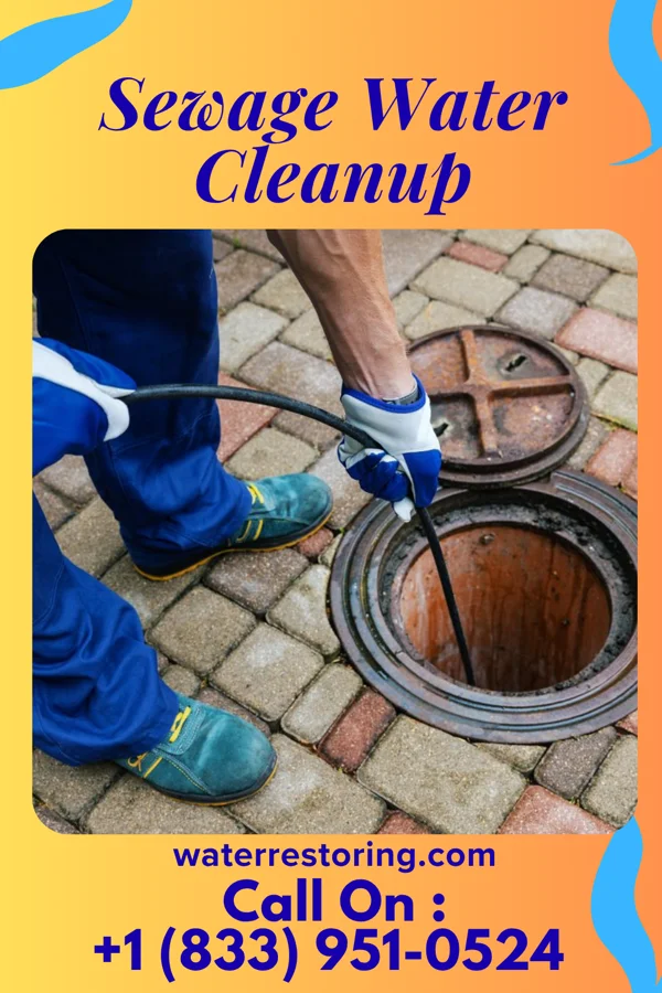 Sewage Water Cleanup in Ellwood City, PA