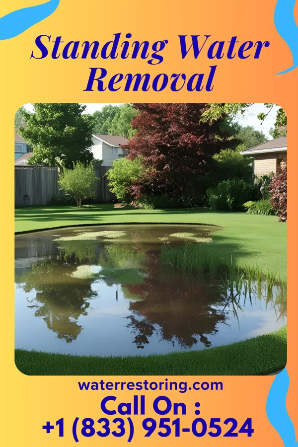 Standing Water Removal in Ellwood City, PA